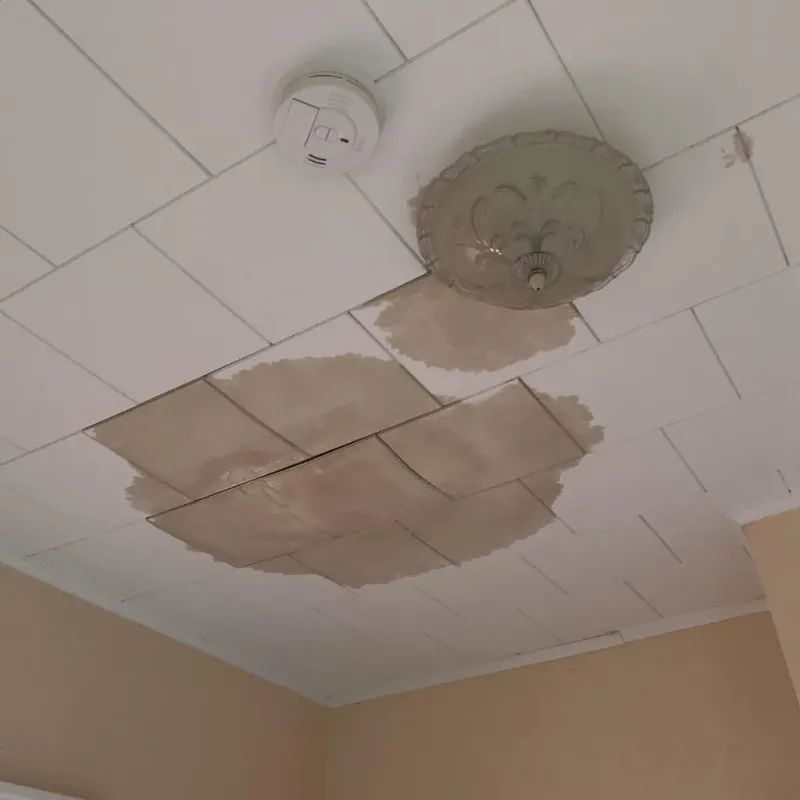 Ceiling Water Damage Repair in El Cerrito Corona, CA
